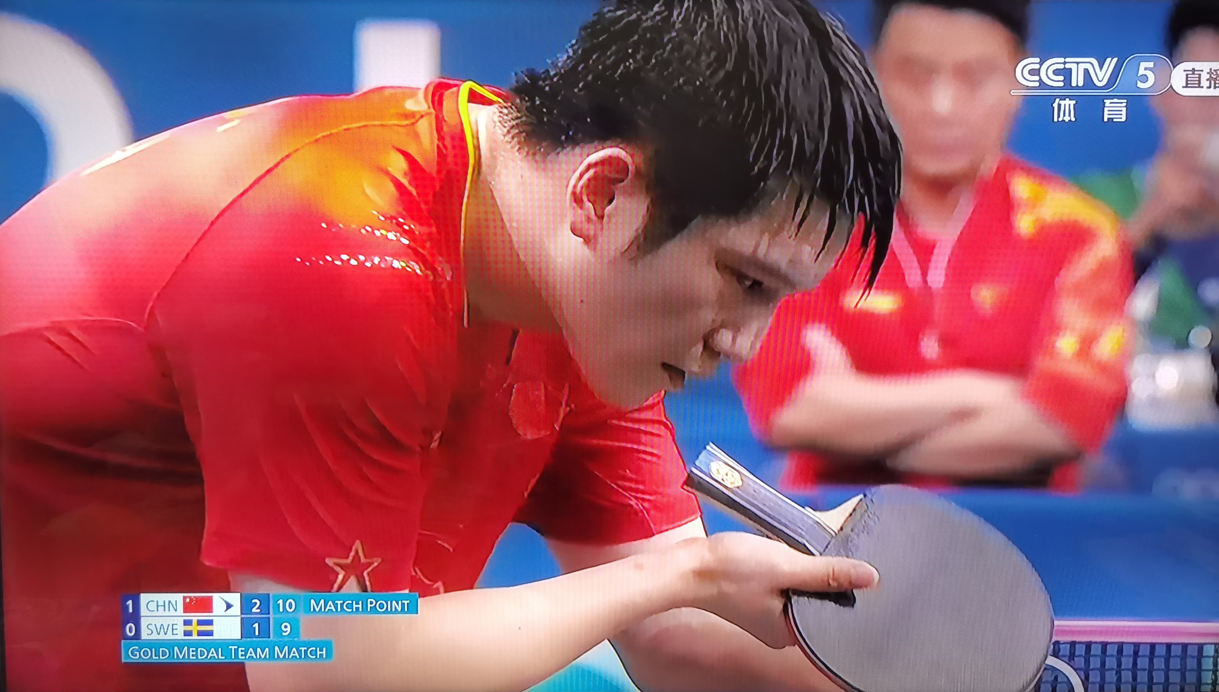 中国队完胜瑞典队,樊振东状态火热 中国队完胜瑞典队,樊振东状态火热