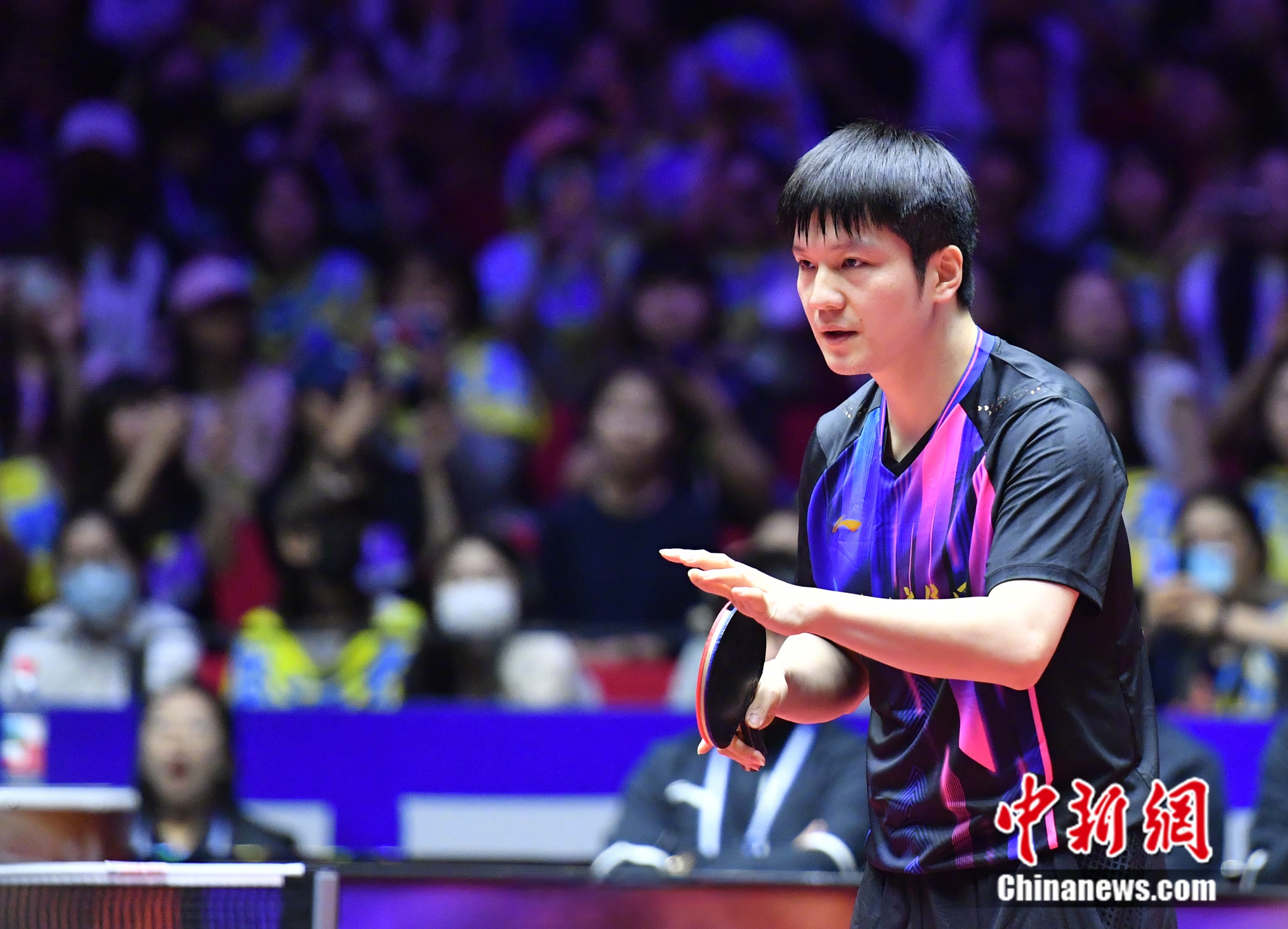 中国队完胜瑞典队,樊振东状态火热 中国队完胜瑞典队,樊振东状态火热