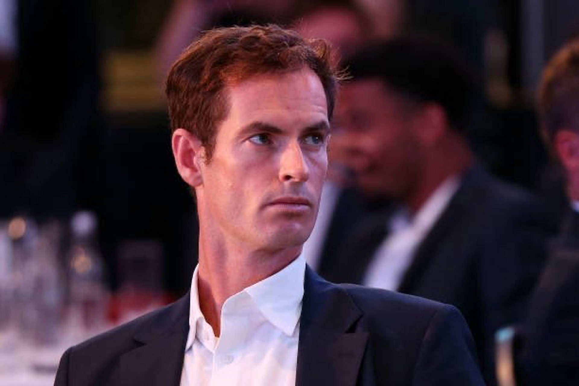 戴维斯杯翻盘澳网,穆雷惊艳四座 戴维斯杯翻盘澳网,穆雷惊艳四座