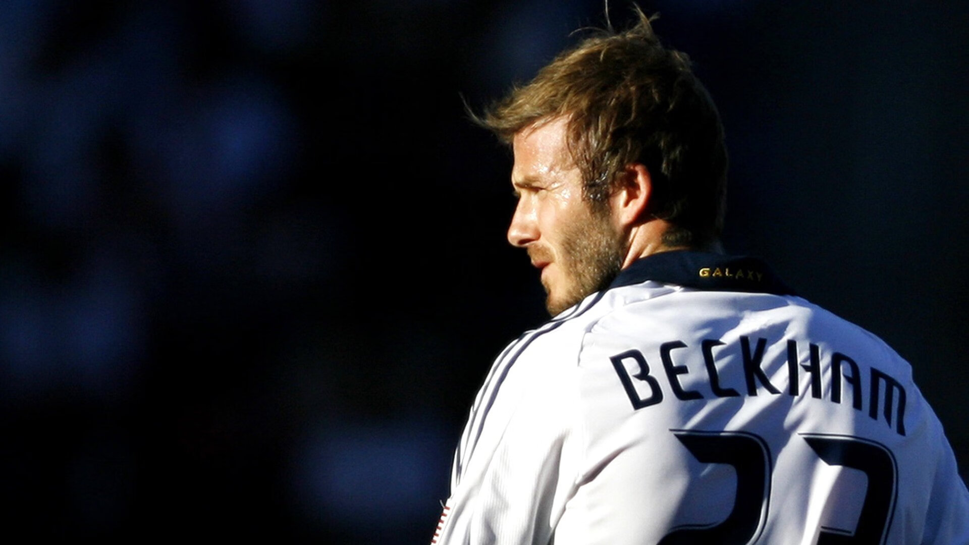 魔术踏平篮网，F1年度争冠的赛道启示录